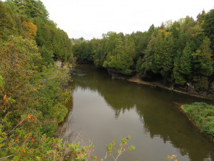 Elora_Gorge,_Elora,_Ontario_(21652994289)