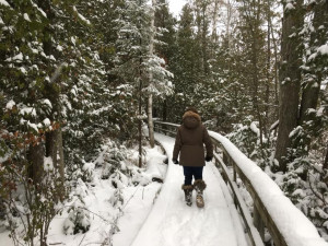 MacGregor-Point-Provincial-Park-Winter