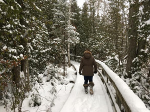 MacGregor-Point-Provincial-Park-Winter